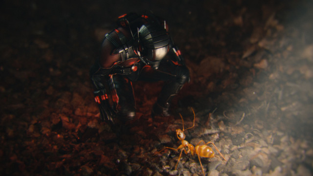 Marvel's Ant-Man Scott Lang/Ant-Man (Paul Rudd) Photo Credit: Film Frame © Marvel 2015