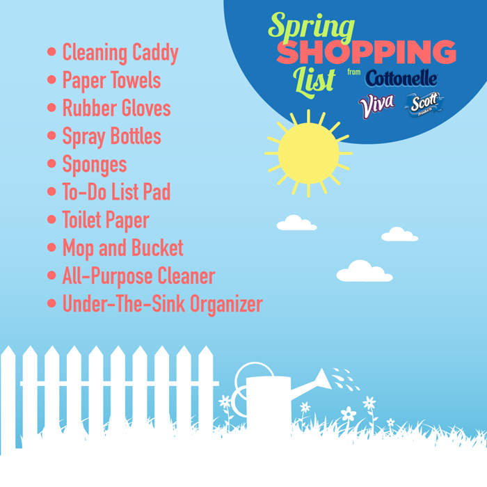 Spring Cleaning Shopping List