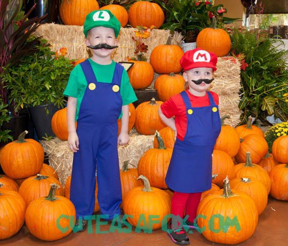 Mario & Luigi Halloween Costumes