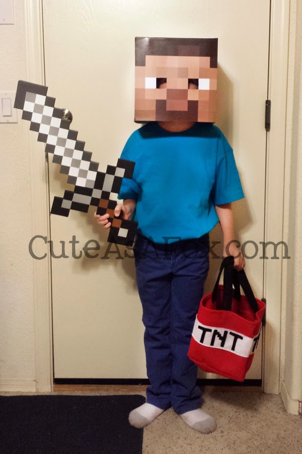 Butterfly and Minecraft Steve Costume