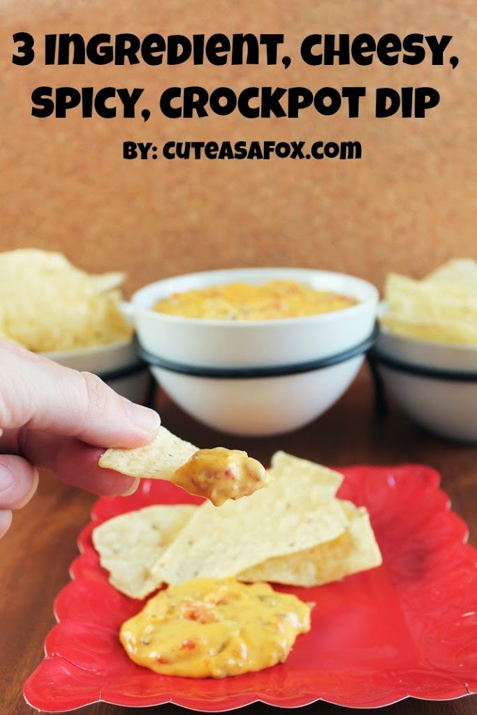 3 Ingredient, Cheesy, Spicy, Slow Cooker Dip